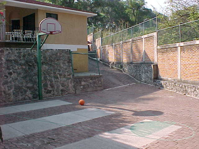 basket court